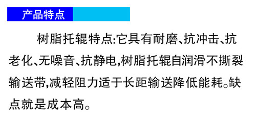 樹脂托輥-技術.jpg 樹脂托輥-技術.jpg